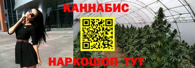 apvp Новозыбков