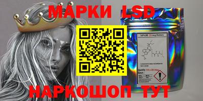 гашиш Новодвинск