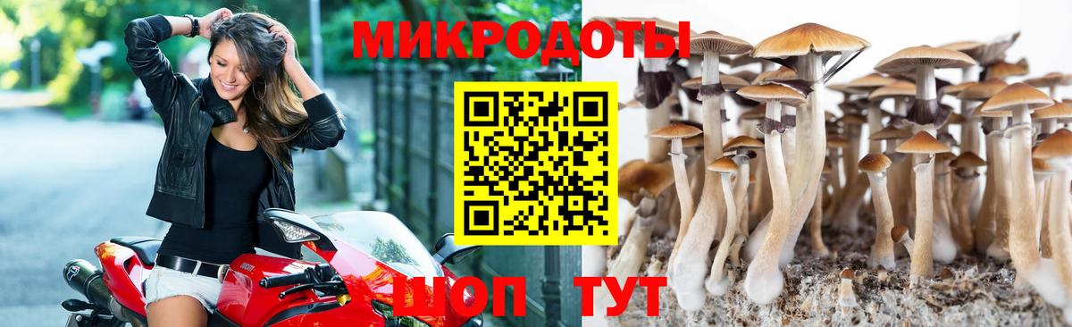 Галлюциногенные грибы Psilocybe  Галлюциногенные грибы GOLDEN TEACHER  хочу   Сызрань  Вход с VPN 